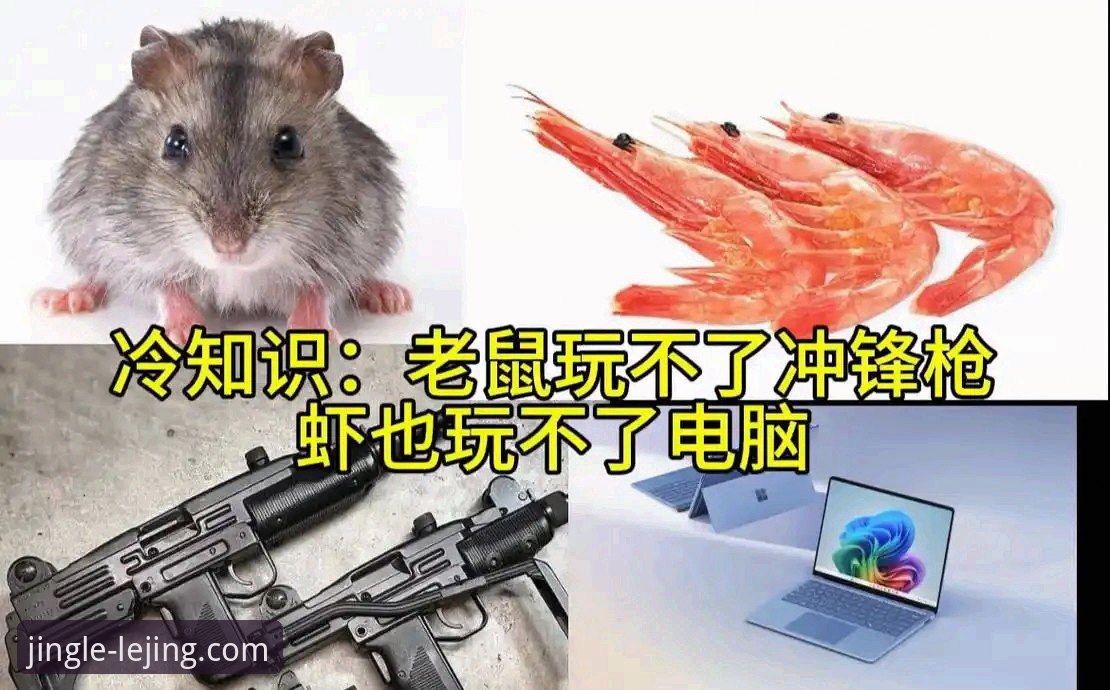 3个关键看点：巴斯克德比背后的战术博弈与赛事直播体验